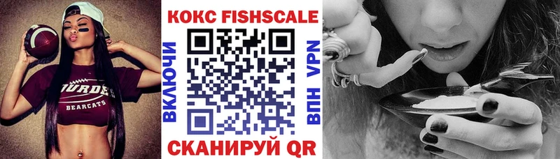 COCAIN Fish Scale цена наркотик сайты даркнета какой сайт Алатырь