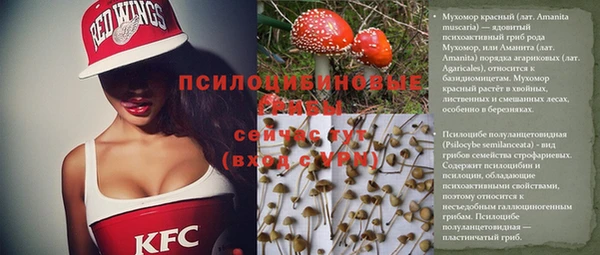 трава Алексеевка